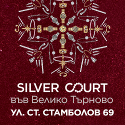 Silver court